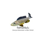 fishtanbul