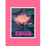 lotuspet