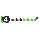 DörtbudakTohum