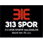 313Spor