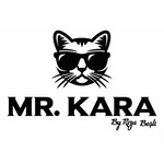Mr.KARA