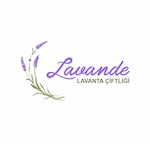 LavandeLavanta