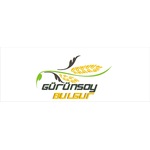 Gürünsoy