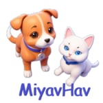 MiyavHav