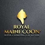 royalmainecoon