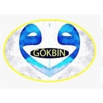 Gökbin