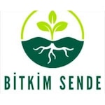 Bitkimsende