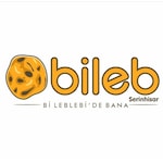 bilebserinhisar