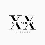 xinxin01