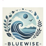 BlueWiseTeknoloji
