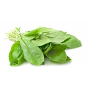 Fare Kulagi Tohumu 100 Gr Dichondra Repens Tohumu Fare Kulagi Cim Fiyatlari Ve Ozellikleri