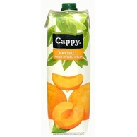 55120958 - Cappy Meyve Suyu Kayısı Aromalı 1 L - n11pro.com