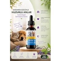 Kedi Ve Köpek Sakinleştirici Damla 50 Ml Doğal Bitkisel Rahatlatıcı Destek Kedi Ve Köpek Sakinleştirici Damla 50 Ml Doğal Bitkisel Rahatlatıcı Destek