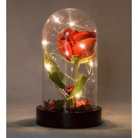 Anneler Gününe Özel Led Işıklı Fanus Içinde Kırmızı Yapay Gül(539850442) Çok Renkli Anneler Gününe Özel Led Işıklı Fanus Içinde Kırmızı Yapay Gül(539850442) Çok Renkli