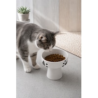 Seramik Kedi Ve Köpek Mama Su Kabı 300 Ml Ayaklı Yükseltilmiş Mama Kabı 13 Cm Seramik Kedi Ve Köpek Mama Su Kabı 300 Ml Ayaklı Yükseltilmiş Mama Kabı 13 Cm