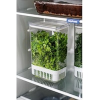 Reoona 1 Adet 2900 Ml Yeşillik Saklama Kabı Sebze Saklama & Buzdolabı Tazeleyici Düzenleyici Kutu Renkli Reoona 1 Adet 2900 Ml Yeşillik Saklama Kabı Sebze Saklama & Buzdolabı Tazeleyici Düzenleyici Kutu Renkli