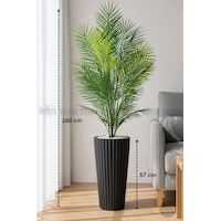 Biçiçek 160 Cm Areka Ağaci 24 Yapraklı Si̇yah Li̇lyum Saksıda Biçiçek 160 Cm Areka Ağaci 24 Yapraklı Si̇yah Li̇lyum Saksıda