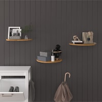 Asra Trend Oval Duvar Rafı DRF-04 %100 MDF 3'lü Dekoratif Organizer Kitaplık Petra