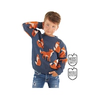 Denokids Mshb&g Tilki Erkek Çocuk Lacivert Triko Kazak Çok Renkli Denokids Mshb&g Tilki Erkek Çocuk Lacivert Triko Kazak Çok Renkli