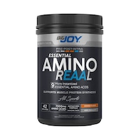 Bigjoy Amino Reaal  420g Portakal