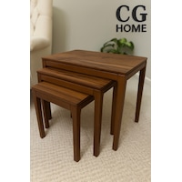 Ant Home Mono Zigon Sehpa Üçlü Lüx %100 Ağaç Lake Boyalı Sehpa Ceviz Ant Home Mono Zigon Sehpa Üçlü Lüx %100 Ağaç Lake Boyalı Sehpa Ceviz
