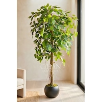 Yapay Benjamin Ağacı 27x33 Küre Saksılı 140 Cm Beyaz Yapay Benjamin Ağacı 27x33 Küre Saksılı 140 Cm Beyaz