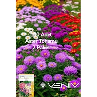 100 Adet Aster Çiçeği Tohumu 2 Paket 100 Adet Aster Çiçeği Tohumu 2 Paket