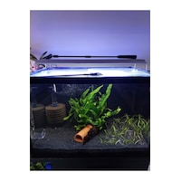 Barış Bazalt Siyah Kum 5 Kg 2-3mm Barış Bazalt Siyah Kum 5 Kg 2-3mm