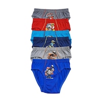 Tutku Iç Giyim Erkek Çocuk Desenli Slip Külot 6 Lı Paket Tutku Iç Giyim Erkek Çocuk Desenli Slip Külot 6 Lı Paket