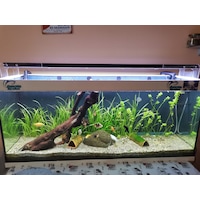 Armatürk 1070L Akvaryum Armatürü 70 CM Armatürk 1070L Akvaryum Armatürü 70 CM