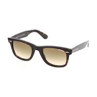 Mustang Mu2387-04 50 Unisex Güneş Gözlüğü Mustang Mu2387-04 50 Unisex Güneş Gözlüğü