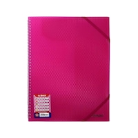 Globox Spiralli Sunum Dosyası 30 Sayfa - Pembe Çok Renkli Globox Spiralli Sunum Dosyası 30 Sayfa - Pembe Çok Renkli