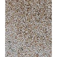 Ak Darı Mahsül Taze 1 Kg Ak Darı Mahsül Taze 1 Kg