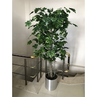 Cihan Çiçekçilik Yapay Ağaç Çınar Ağaç 180 Cm Metal Saksıda Yeşil Cihan Çiçekçilik Yapay Ağaç Çınar Ağaç 180 Cm Metal Saksıda Yeşil