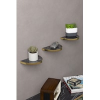 Duvar Rafı Dekoratif 3 Adet Çiçeklik Oval Altın Bendir Duvar Rafı Dekoratif 3 Adet Çiçeklik Oval Altın Bendir