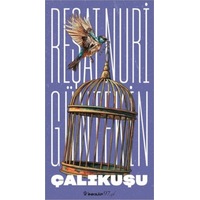 Çalıkuşu Çalıkuşu