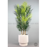 Biçiçek Yapay Areka Palmi̇yesi̇ 48 Yapraklı 150 Cm Beyaz Vega Saksıda Biçiçek Yapay Areka Palmi̇yesi̇ 48 Yapraklı 150 Cm Beyaz Vega Saksıda