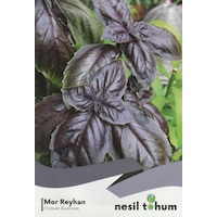 Nesil Mor Reyhan Tohumu 100 Adet Nesil Mor Reyhan Tohumu 100 Adet