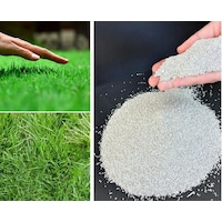 Bermuda Grass Çim Tohumu Cynodon Dactylon 1 Kg Bermuda Grass Çim Tohumu Cynodon Dactylon 1 Kg