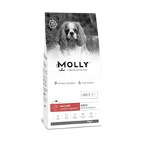 Molly Düşük Tahıllı Hypoallergenic Kuzulu Ve Yaban Mersinli Küçük Irk Yetişkin Köpek Maması 8 Kg Molly Düşük Tahıllı Hypoallergenic Kuzulu Ve Yaban Mersinli Küçük Irk Yetişkin Köpek Maması 8 Kg