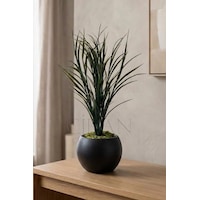 Küre Saksılı Koyu Yeşil Yapay Sazlık 80 Cm Beyaz Küre Saksılı Koyu Yeşil Yapay Sazlık 80 Cm Beyaz