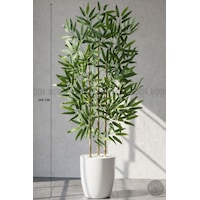 Biçiçek 110 Cm Bambu Ağacı Beyaz Yakut Saksıda Biçiçek 110 Cm Bambu Ağacı Beyaz Yakut Saksıda