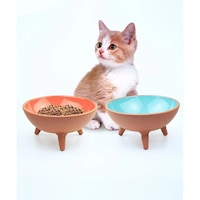 Athstore Ayaklı Kase Kedi Köpek Mama Su Kabı Ayaklı Sırlı 2'li Athstore Ayaklı Kase Kedi Köpek Mama Su Kabı Ayaklı Sırlı 2'li