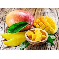 Mango Fidanı Mango Fidanı Mango Fidanı Mango Fidanı