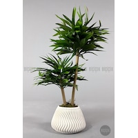 Biçiçek Yapay Bambu Ağacı 60cm Yoğun Yapraklı Spiral Saksıda Biçiçek Yapay Bambu Ağacı 60cm Yoğun Yapraklı Spiral Saksıda