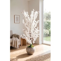 Yapay Beyaz Sakura Kiraz Çiçeği Ağacı 120 Cm - Küre Plastik Saksılı 27x33 Cm Saksı Yapay Beyaz Sakura Kiraz Çiçeği Ağacı 120 Cm - Küre Plastik Saksılı 27x33 Cm Saksı