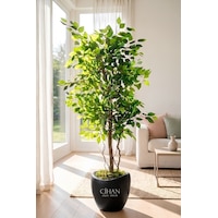 Premium Yapay Yeşil Benjamin Ağacı 150 Cm - 32 28.5 Plastik Lale Saksılı Beyaz Premium Yapay Yeşil Benjamin Ağacı 150 Cm - 32 28.5 Plastik Lale Saksılı Beyaz
