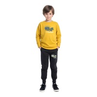 Erkek Çocuk Perfect Baskılı Sıfır Yaka Mevslimlik Alt-üst Takım Sarı Erkek Çocuk Perfect Baskılı Sıfır Yaka Mevslimlik Alt-üst Takım Sarı