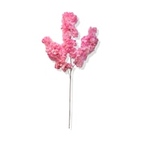 Cihan Çiçekçilik Yapay Lux Bahar Dalı Demeti 100 Cm Pembe Cihan Çiçekçilik Yapay Lux Bahar Dalı Demeti 100 Cm Pembe