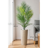 Biçiçek 160 Cm Areka Ağaci 24 Yapraklı Mocha Kumsal Saksıda Biçiçek 160 Cm Areka Ağaci 24 Yapraklı Mocha Kumsal Saksıda